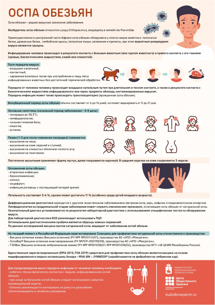 ospa_obezyan_.jpg